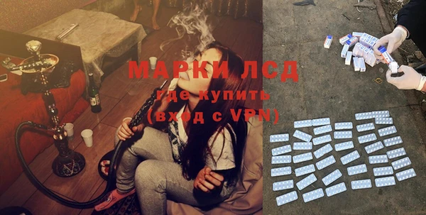 ECSTASY Алзамай