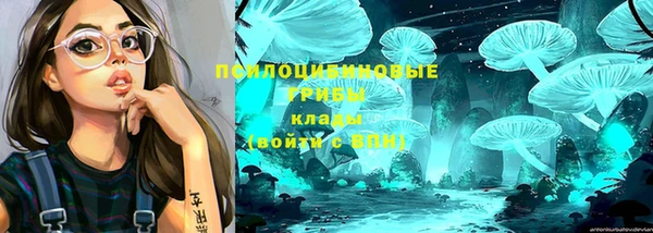 a pvp Абинск