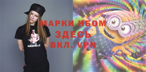 ECSTASY Алзамай