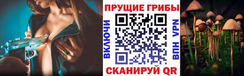ОМГ ОМГ как зайти закладки Плавск Галлюциногенные грибы Magic Shrooms